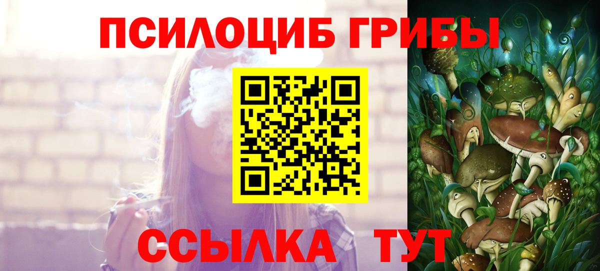 Ессентуки  Псилоцибиновые грибы Psilocybine cubensis  Вход с VPN 