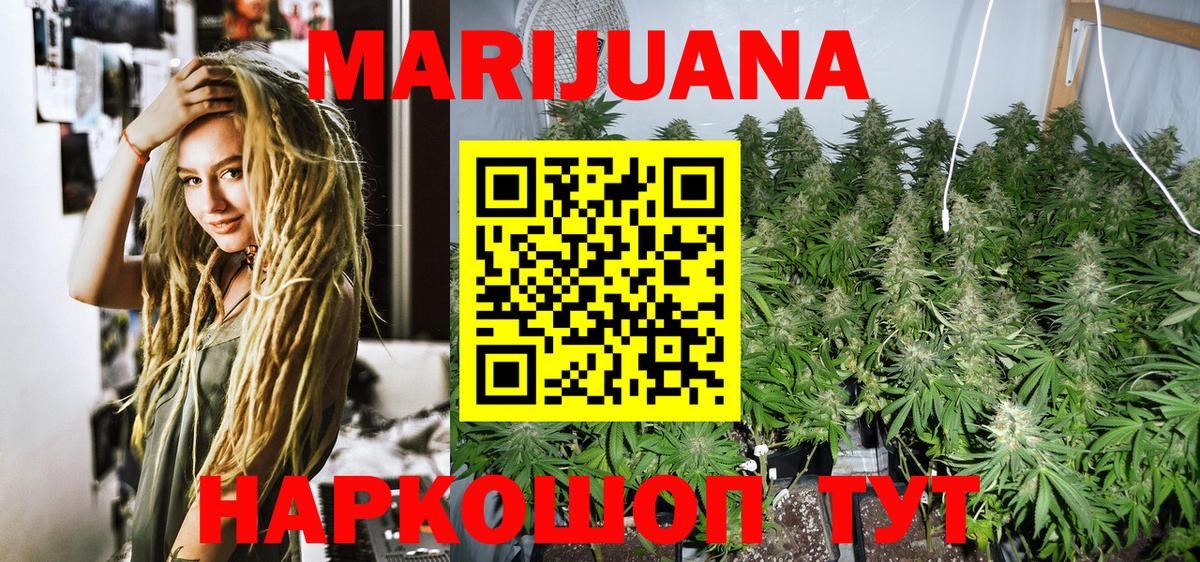 Каннабис план Ессентуки